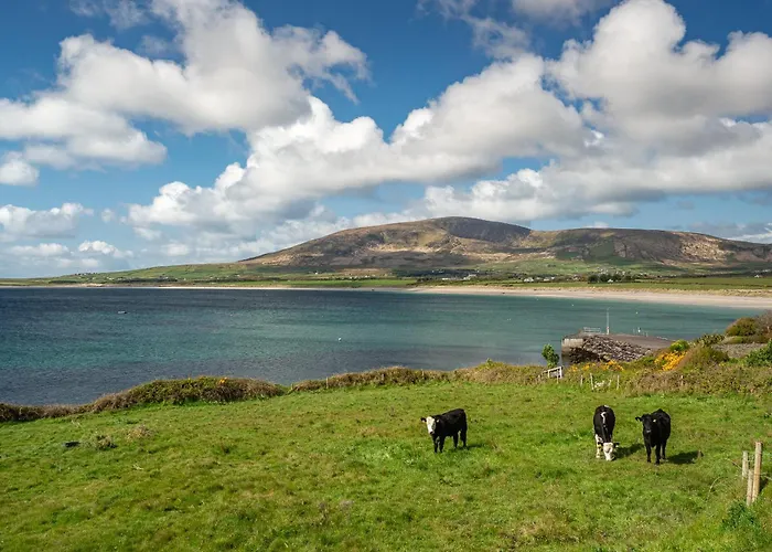 Farm - Shamrock By Trident Homes Casa vacanze *